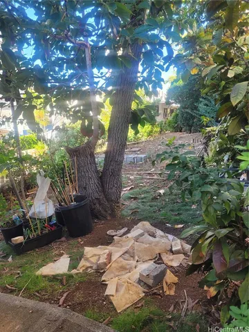a backyard of a house with lots of green space