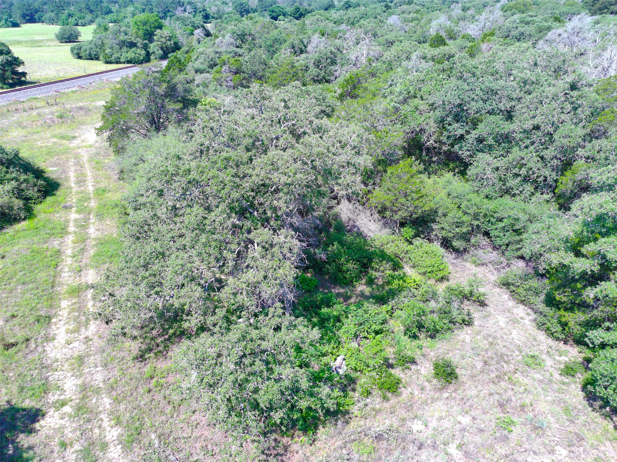 277 Meuth Cemetery Road Red Rock, TX 78662 - Photo 17 of 19 A verdant, sprawling landscape offering a secluded retreat with a clear view of nearby railroad tracks.
