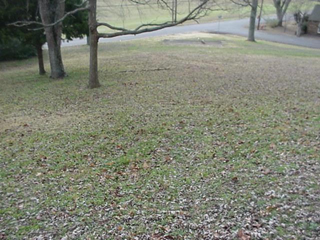 134 Proffitt Street Carthage, TN 37030 - Photo 16 of 20 Gallery Image 16