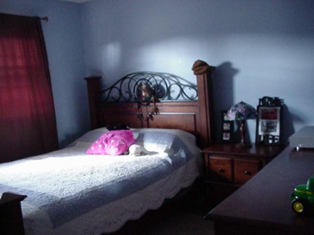134 Proffitt Street Carthage, TN 37030 - Photo 10 of 20 Gallery Image 10