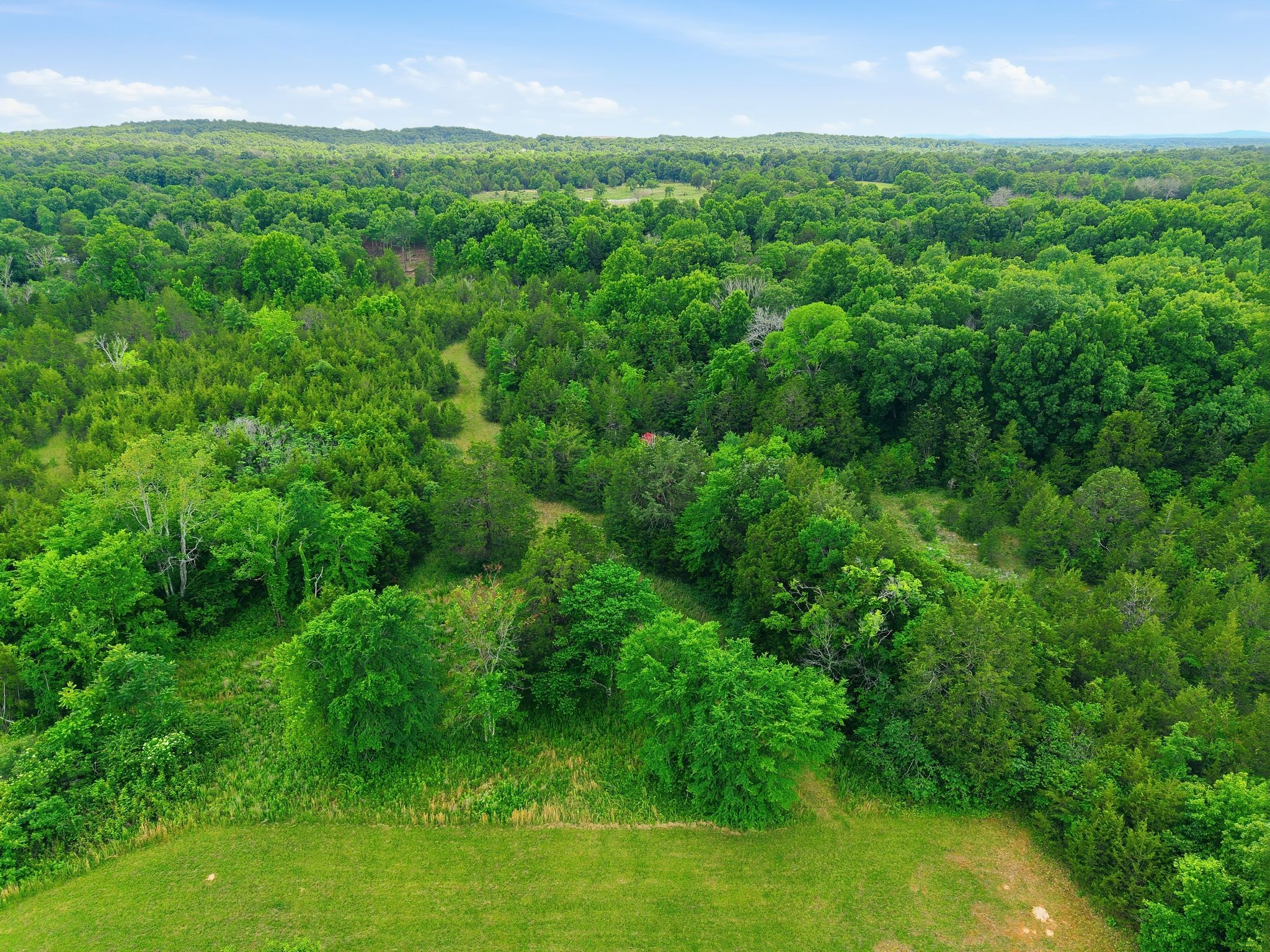 550 Alsup Mill Road Murfreesboro, TN 37129 - Photo 5 of 14 Gallery Image 5