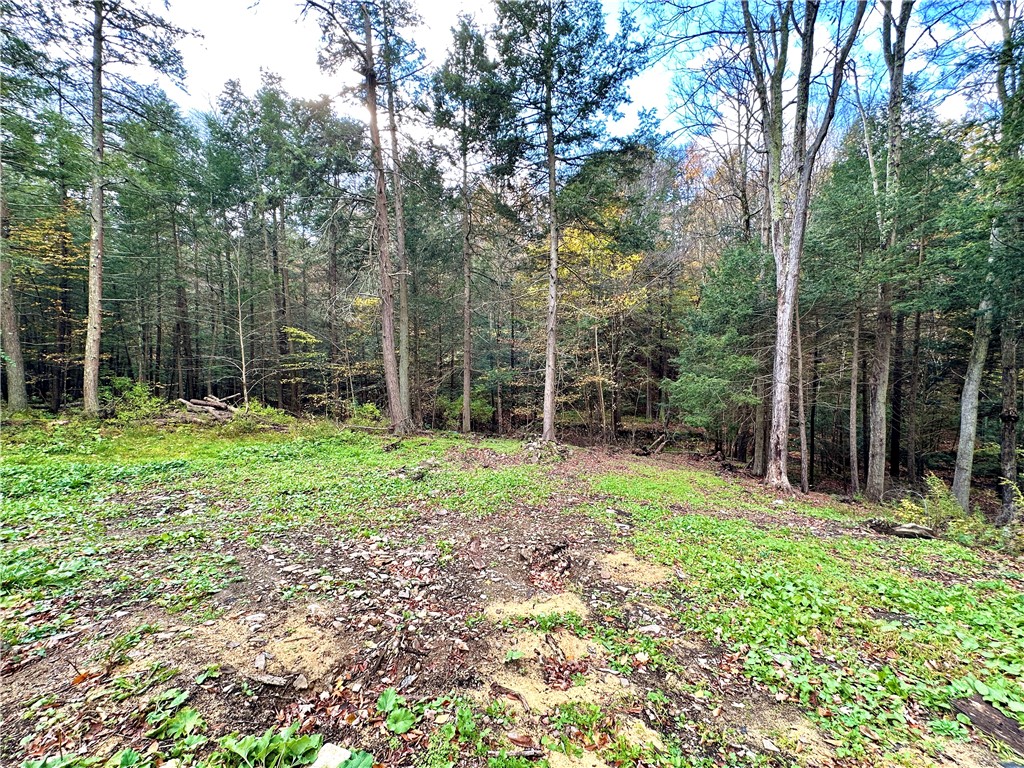 1653 Caton Road Caton, NY 14830 - Photo 22 of 25