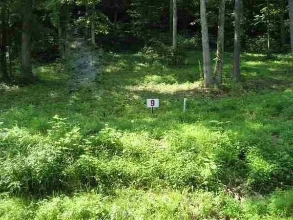 $20,000 | Lot #9 Short White Oak, Greenup, KY 41144