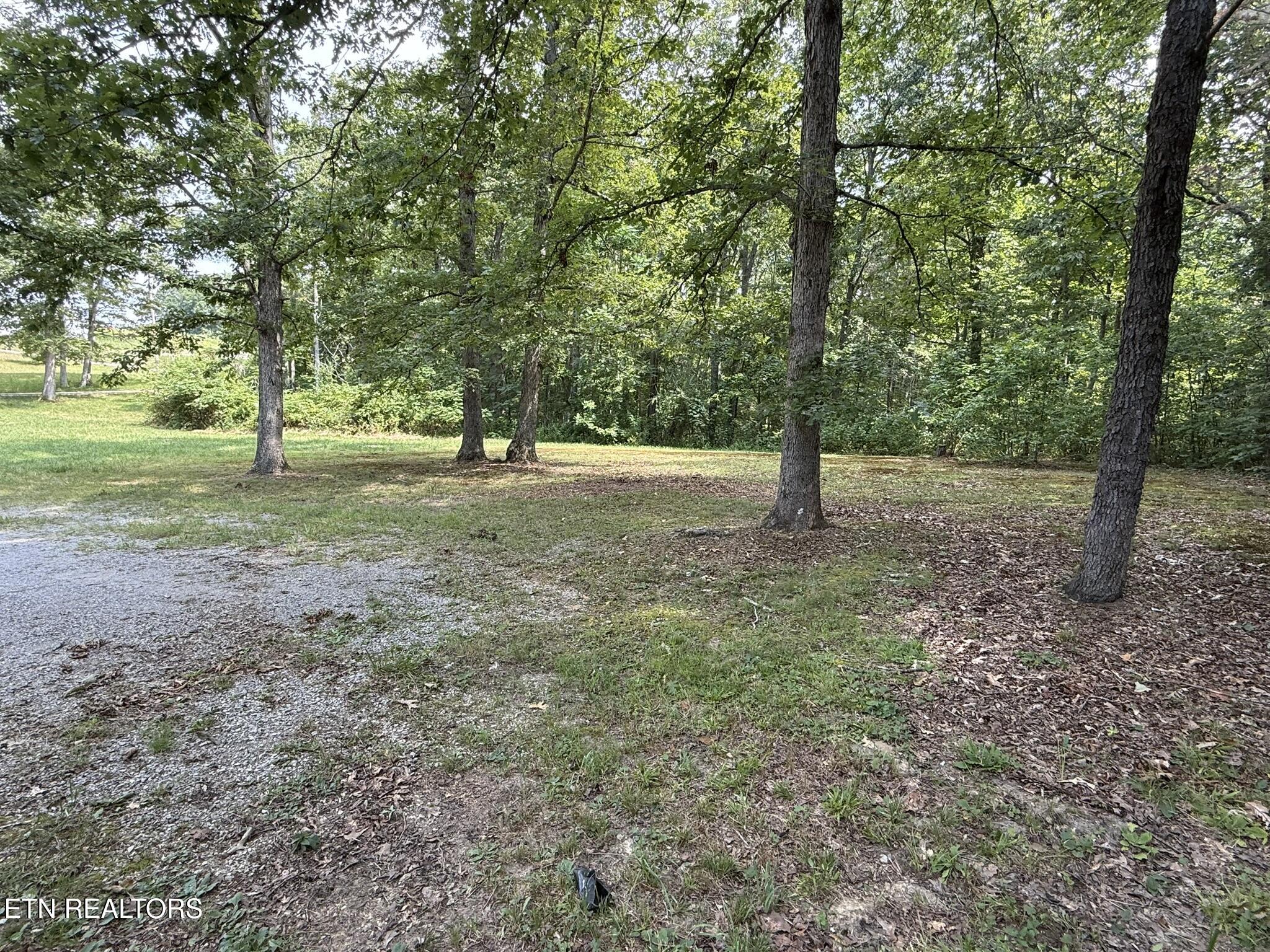 250 City Lake Road Jamestown, TN 38556 - Photo 4 of 35 IMG_3820