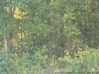 2743 Pine Log Road Lumberton, NC 28360 - Photo 2 of 4 a view of a yard