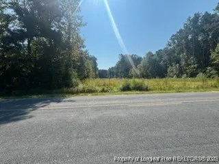 a view of a rural road with plants and trees