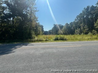 2743 Pine Log Road Lumberton, NC 28360 - Photo 3 of 4 a view of a rural road with plants and trees