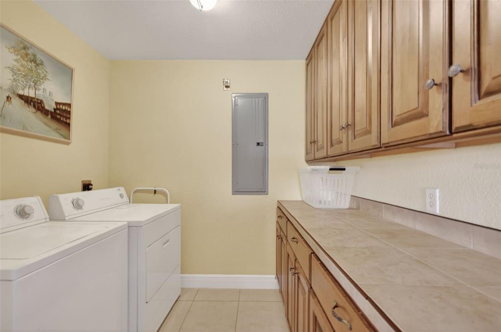 17269 Southeast 260th Avenue Road Umatilla, FL 32784 - Photo 93 of 99