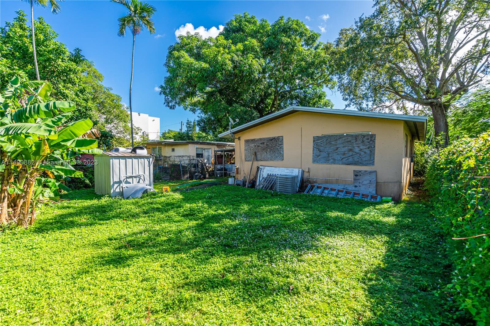 3551 Frow Avenue Miami, FL 33133 - Photo 18 of 22 a view of a backyard with plants and large trees