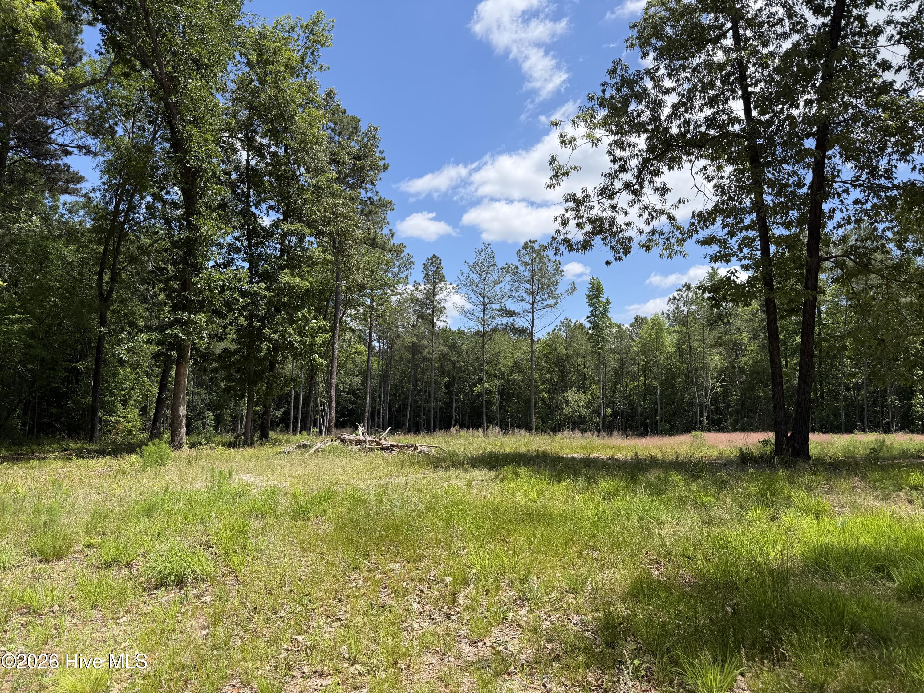 979 Aiken Road Vass, NC 28394 - Photo 8 of 26 979 Aiken Rd 8