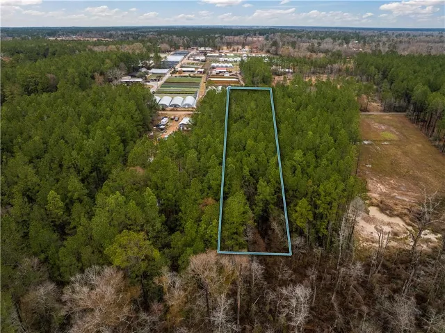 $17,000 | Lot 4 Avon Willis Road, Oakdale, LA 71463