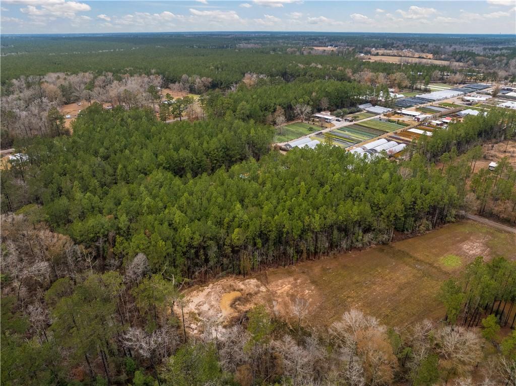 Lot 4 Avon Willis Road Oakdale, LA 71463 - Photo 11 of 19
