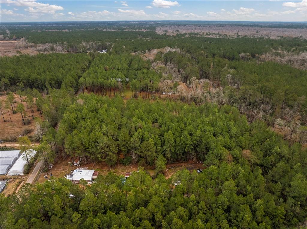 Lot 4 Avon Willis Road Oakdale, LA 71463 - Photo 13 of 19
