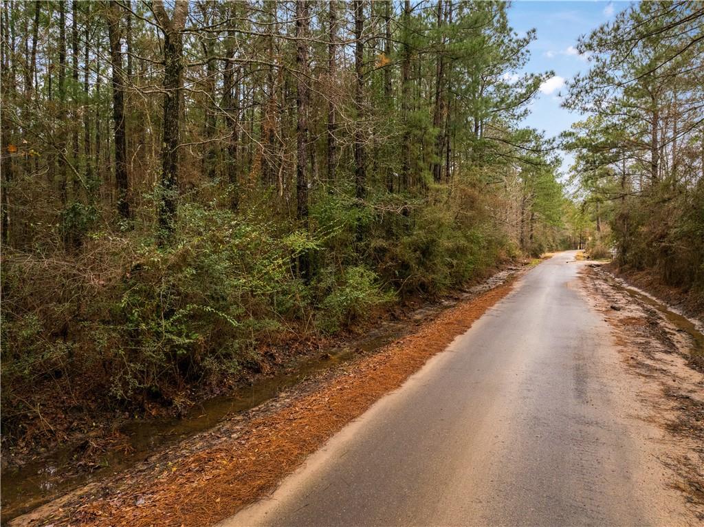 Lot 4 Avon Willis Road Oakdale, LA 71463 - Photo 16 of 19