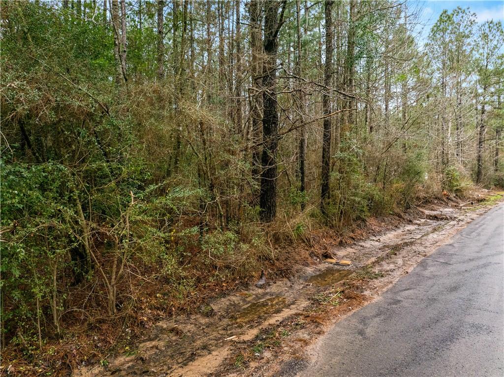 Lot 4 Avon Willis Road Oakdale, LA 71463 - Photo 17 of 19