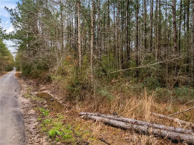 $17,000 | Lot 4 Avon Willis Road, Oakdale, LA 71463