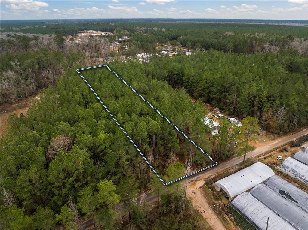 Lot 4 Avon Willis Road Oakdale, LA 71463 - Photo 2 of 19