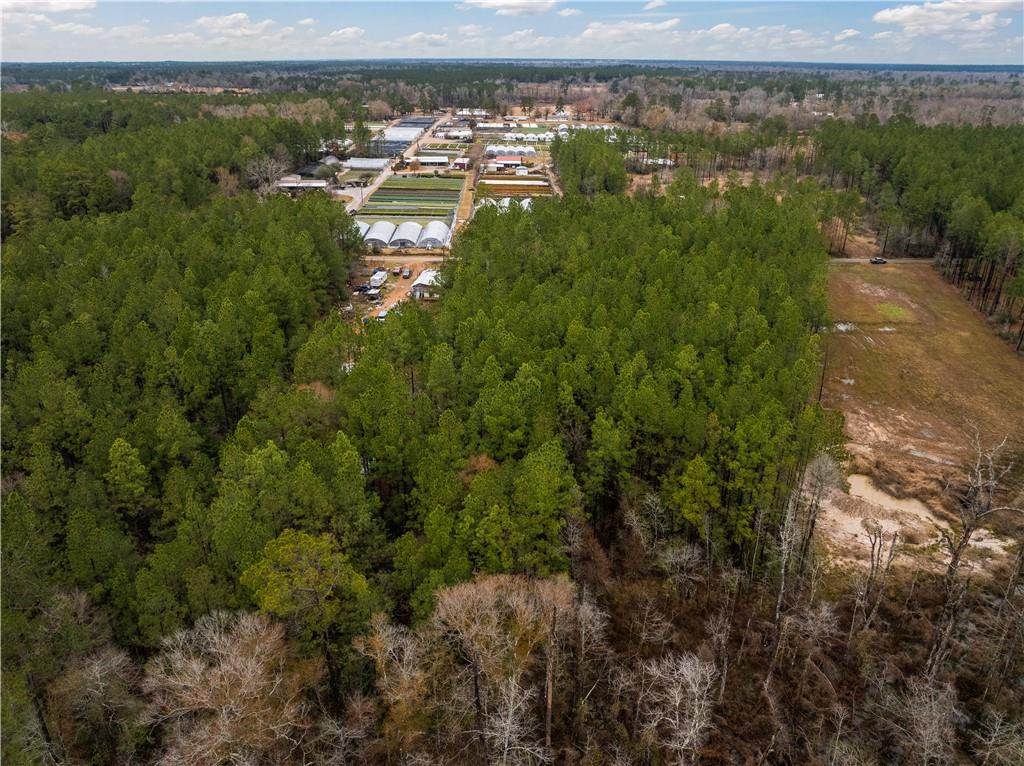 Lot 4 Avon Willis Road Oakdale, LA 71463 - Photo 5 of 19