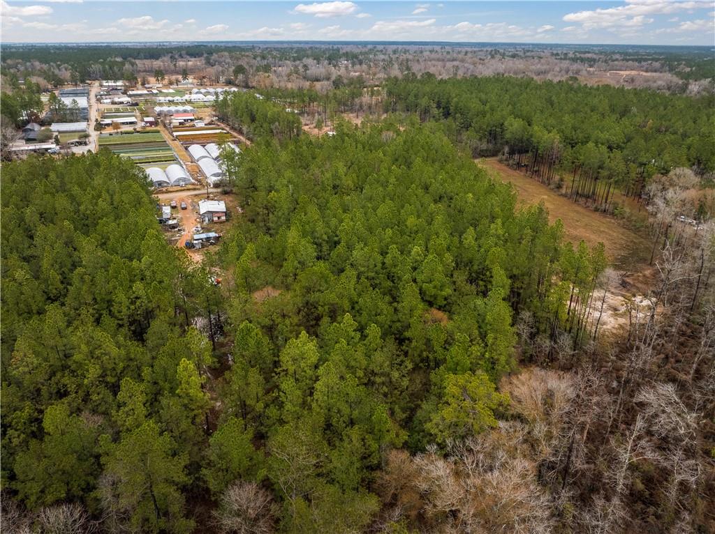 Lot 4 Avon Willis Road Oakdale, LA 71463 - Photo 6 of 19