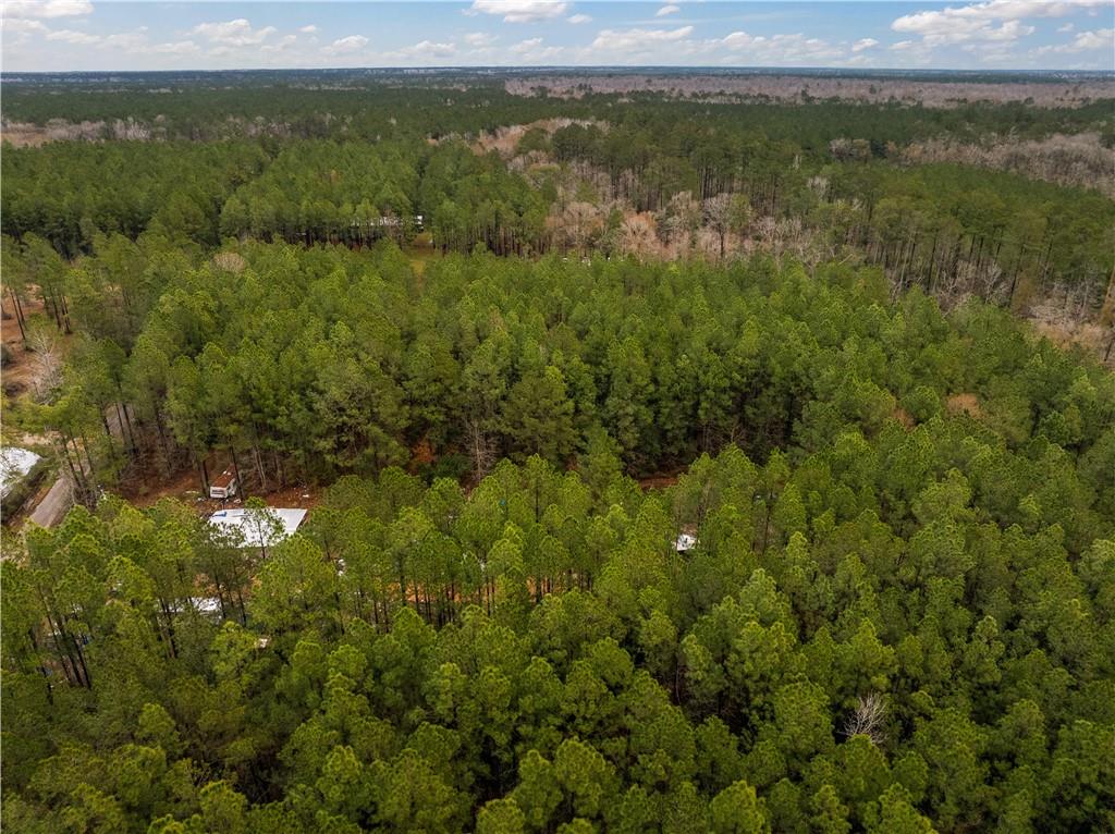 Lot 4 Avon Willis Road Oakdale, LA 71463 - Photo 7 of 19