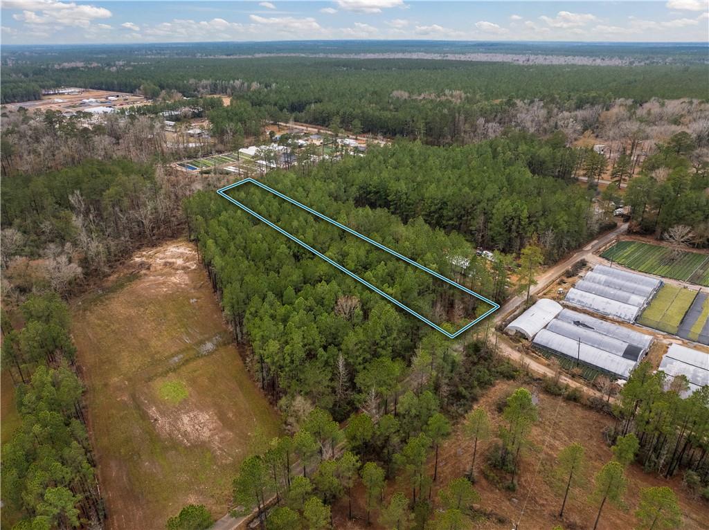 Lot 4 Avon Willis Road Oakdale, LA 71463 - Photo 8 of 19