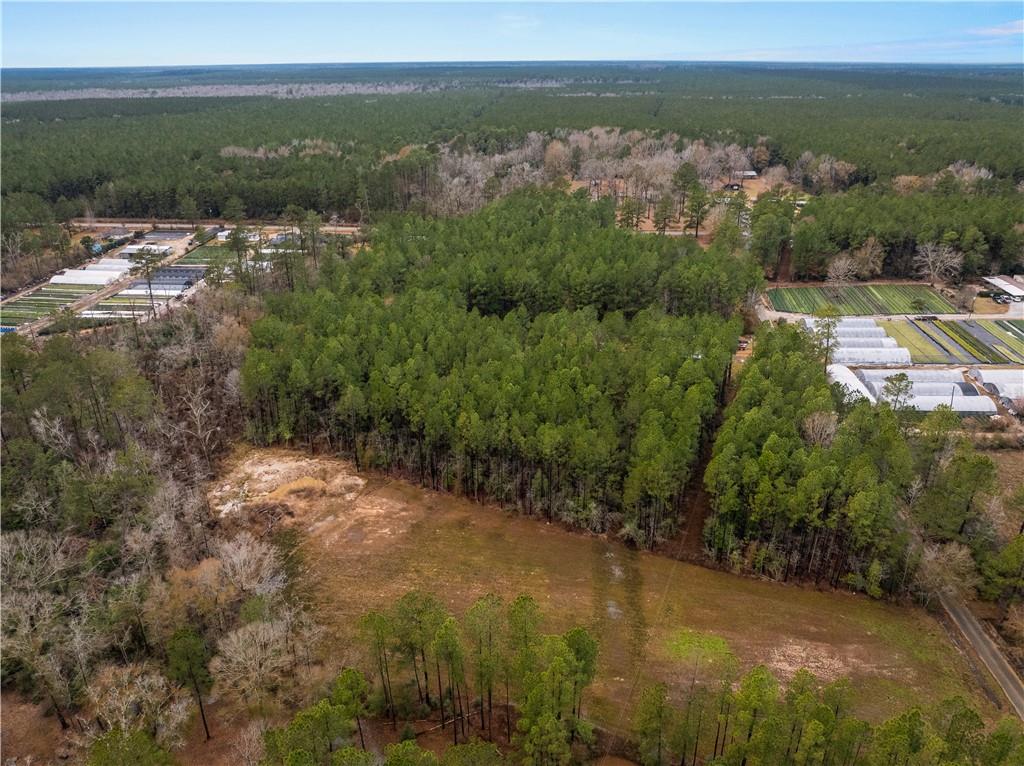 Lot 4 Avon Willis Road Oakdale, LA 71463 - Photo 10 of 19