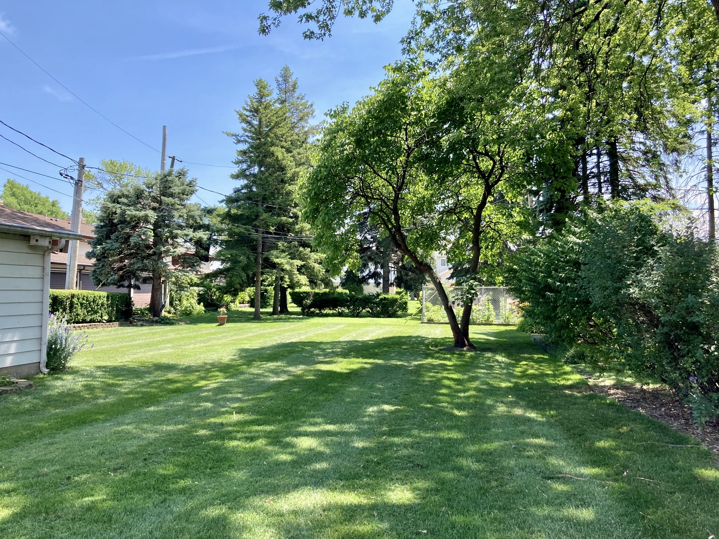 389 Olmsted Road Riverside, IL 60546 - Photo 35 of 38