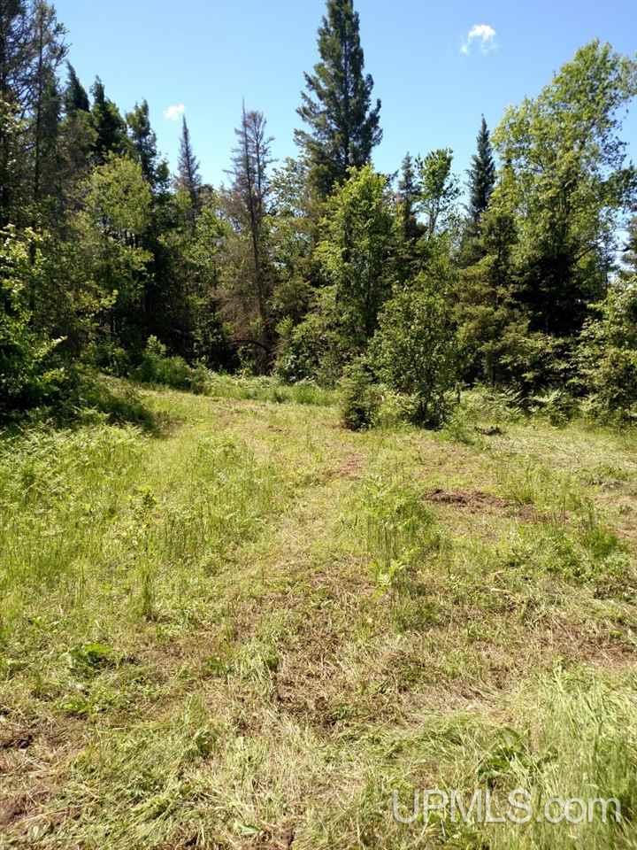 Tbd North River Road Chassell, MI 49916 - Photo 16 of 25 Gallery Image 16