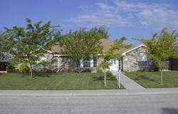 6706 Rio Lobo Street Amarillo, TX 79110 - Photo 1 of 1 a view of a park with large trees