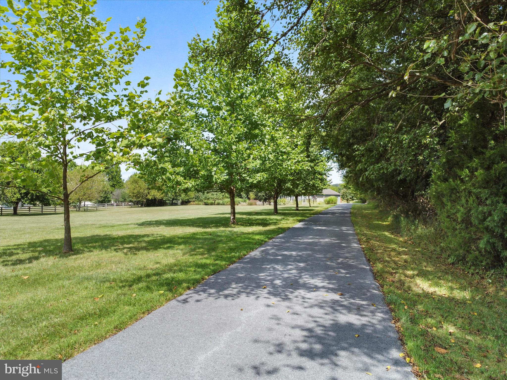 5423 Porterstown Road Keedysville, MD 21756 - Photo 19 of 62 Tree lined private paved drive