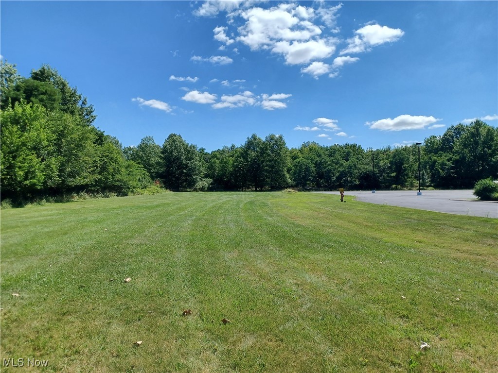 6689 Fry Road Middleburg Heights, OH 44130 - Photo 1 of 17 View of grassy yard with a forest view