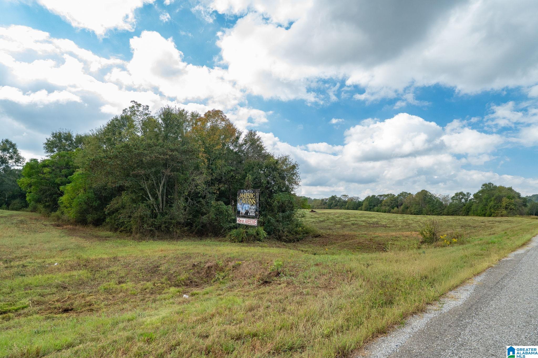 0 Allred Road, Unit PARCEL #5 Lincoln, AL 35096 - Photo 24 of 24