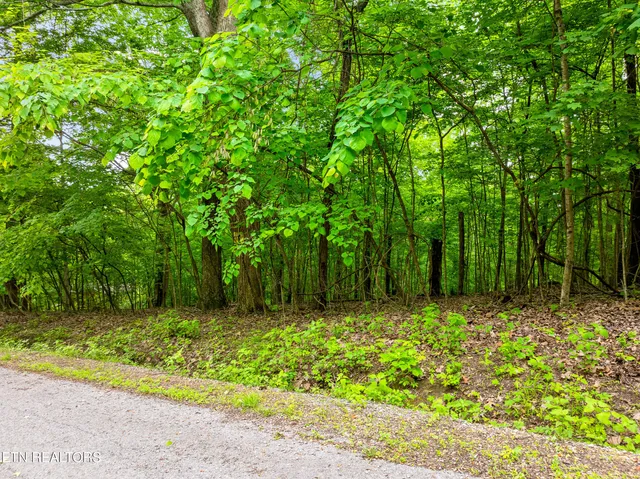 $89,000 | Running Deer Trail, Caryville, TN 37714