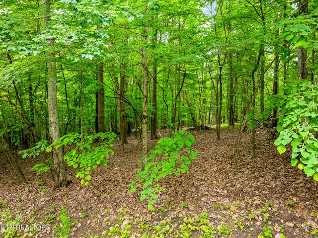 $89,000 | Running Deer Trail, Caryville, TN 37714