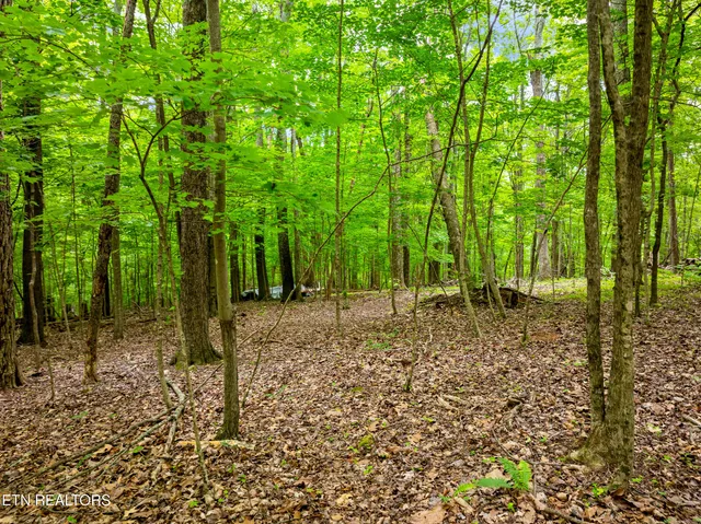 $89,000 | Running Deer Trail, Caryville, TN 37714