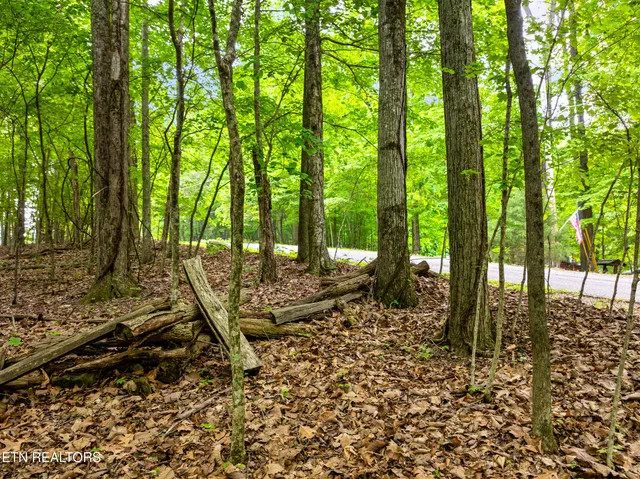 $89,000 | Running Deer Trail, Caryville, TN 37714