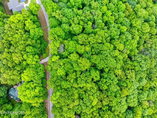 $89,000 | Running Deer Trail, Caryville, TN 37714