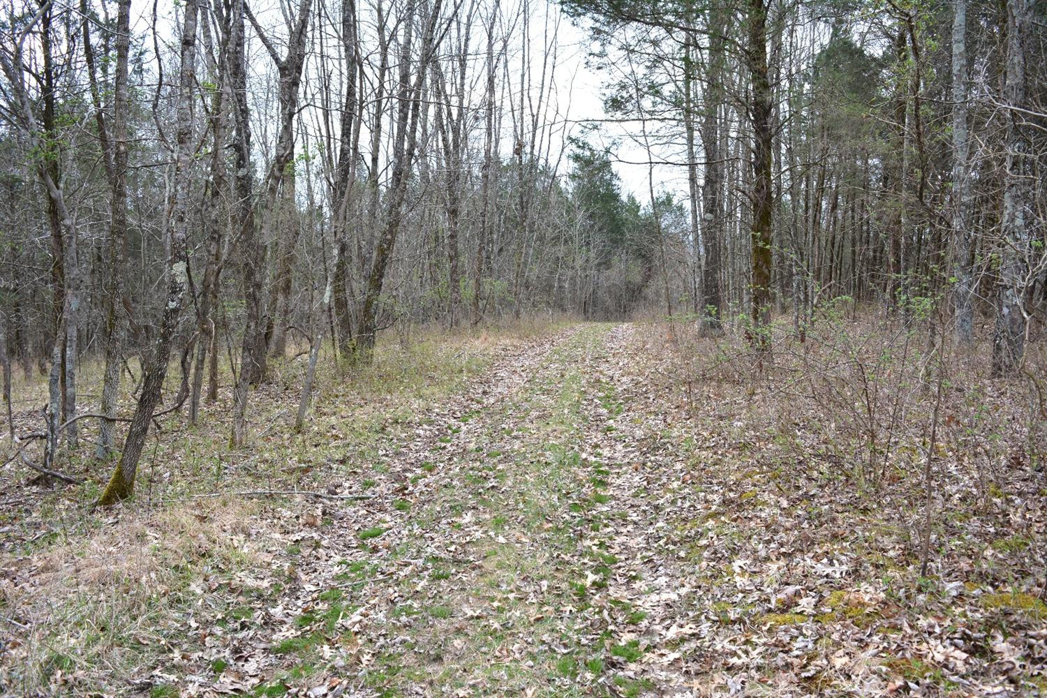 1 Ashes Creek Road Bloomfield, KY 40008 - Photo 17 of 21 Photo 17