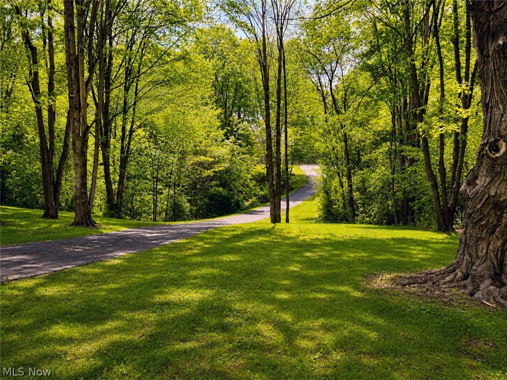 6155 Gibson Road Canfield, OH 44406 - Photo 9 of 43 Lush green lawn with mature trees and a paved driveway winding through a wooded setting
