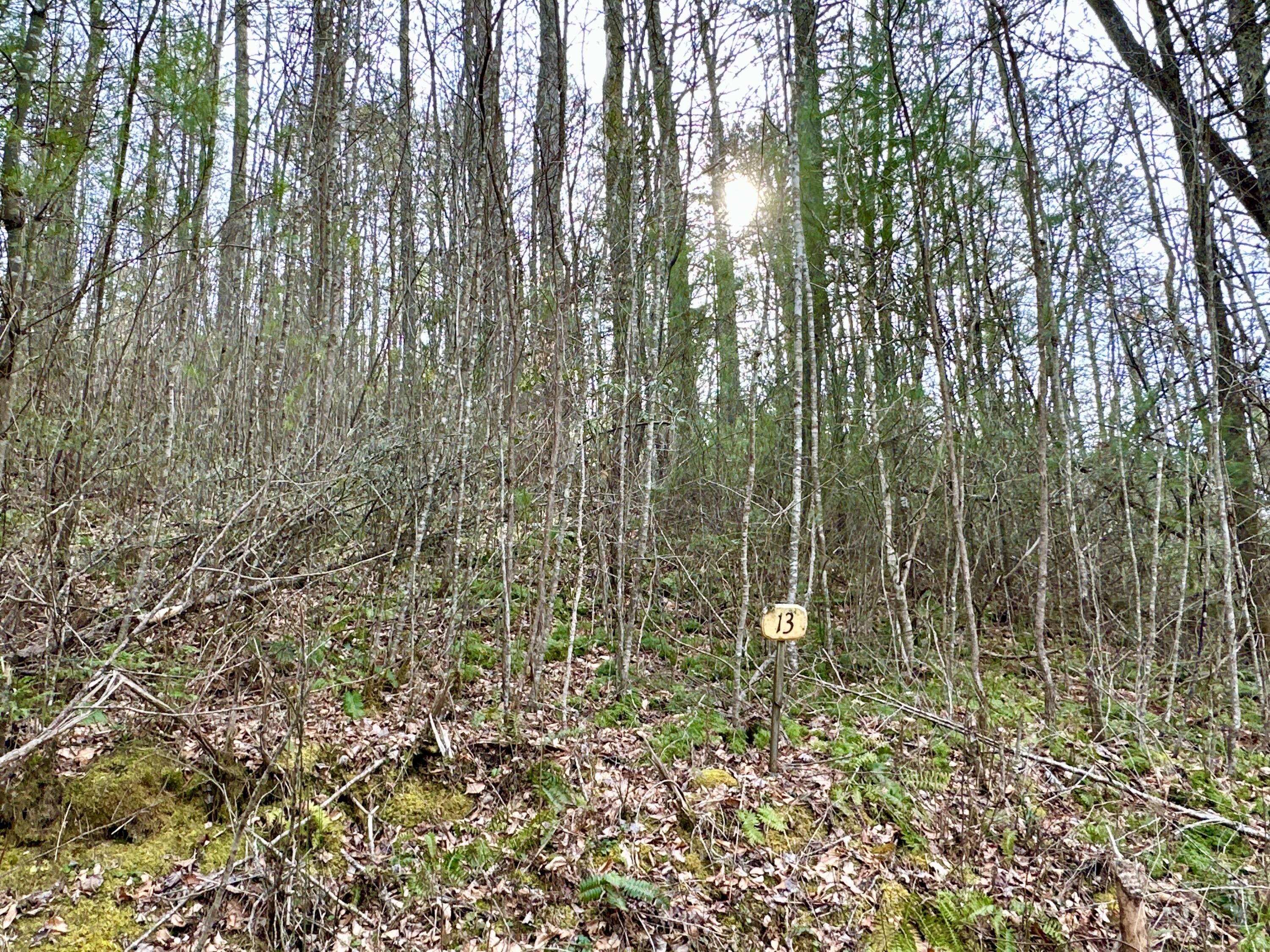 Lot No Lot Way, Unit 13 Del Rio, TN 37727 - Photo 1 of 19 IMG_001