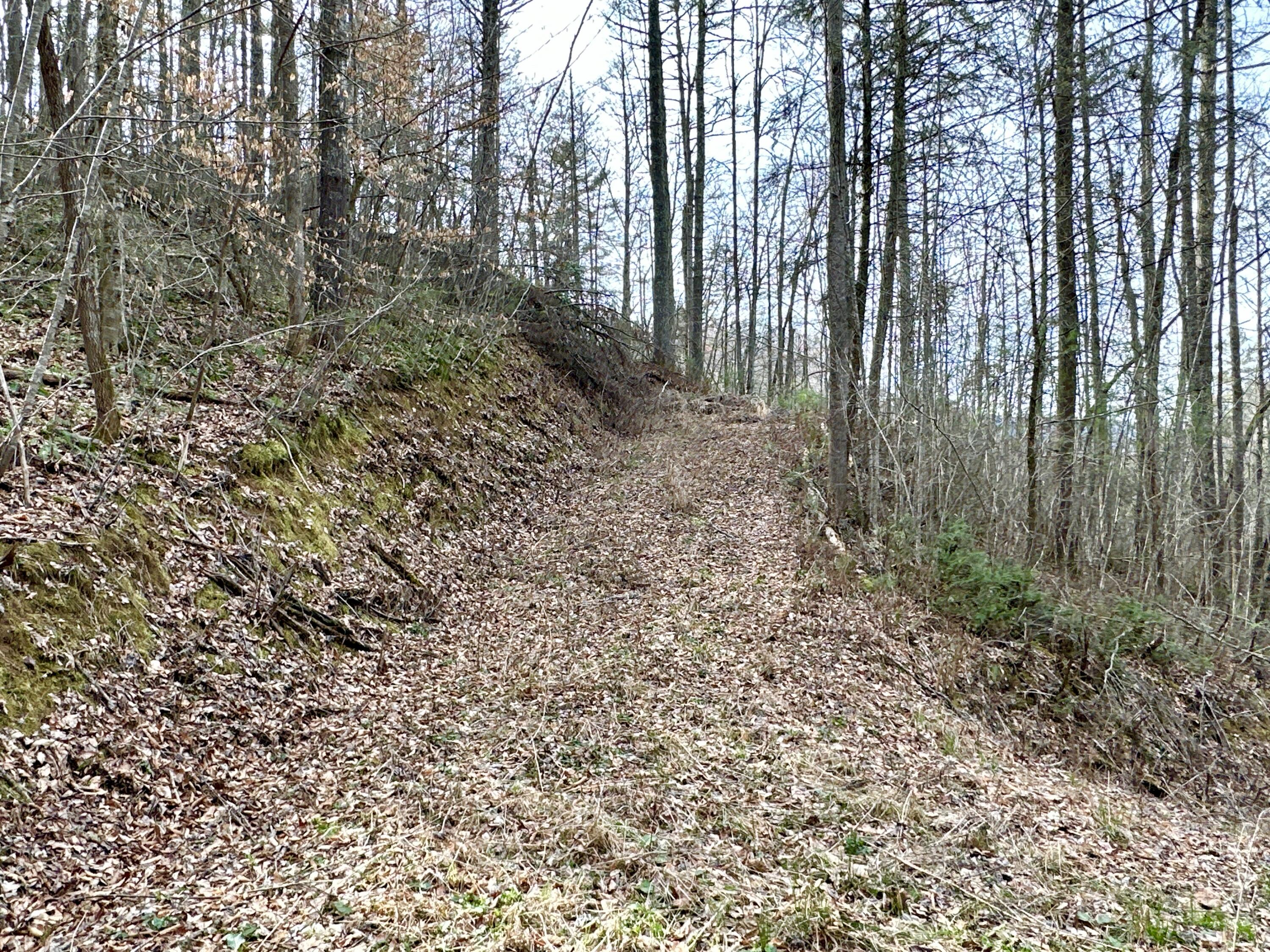 Lot No Lot Way, Unit 13 Del Rio, TN 37727 - Photo 2 of 19 IMG_002