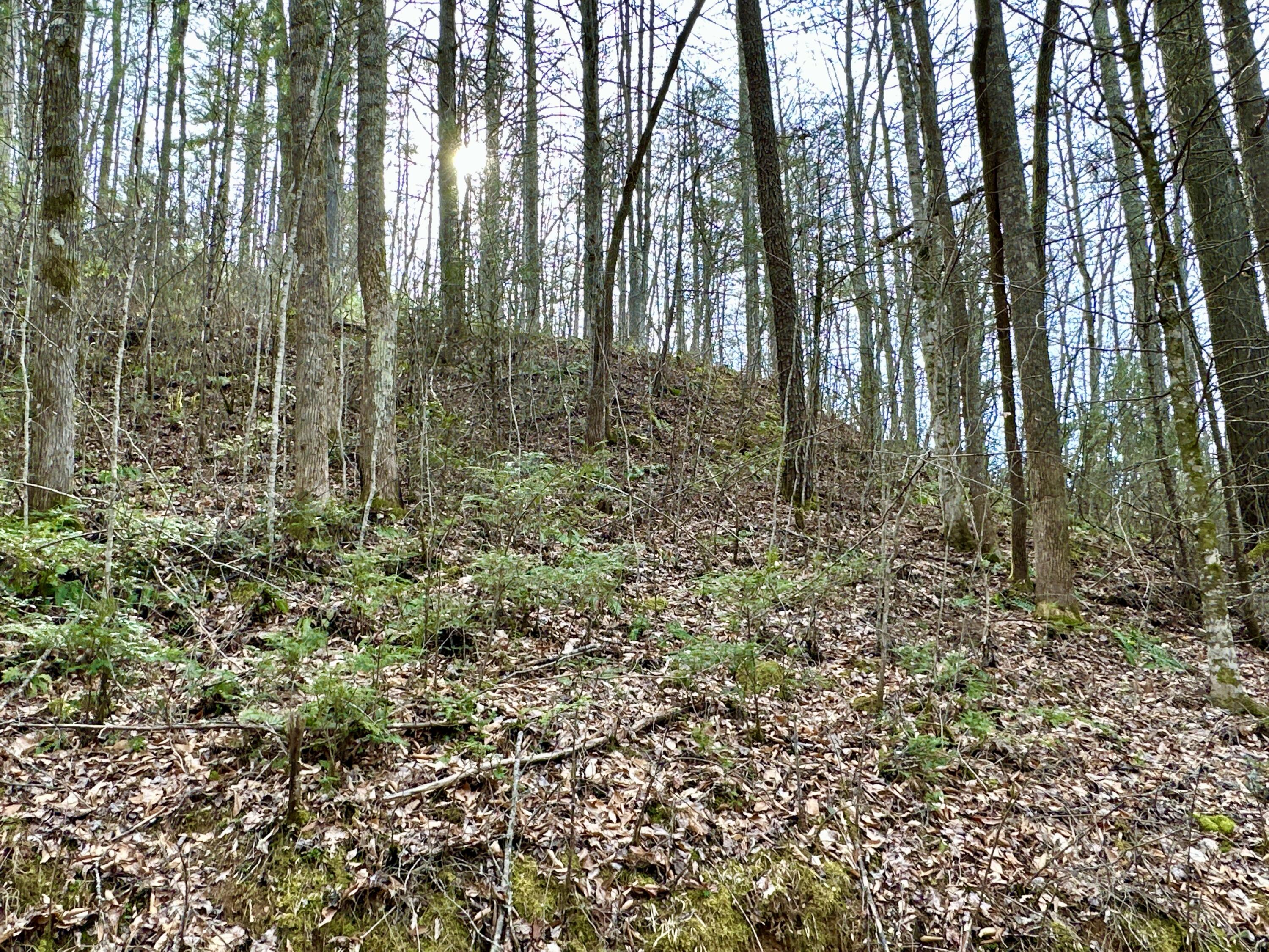 Lot No Lot Way, Unit 13 Del Rio, TN 37727 - Photo 6 of 19 IMG_007