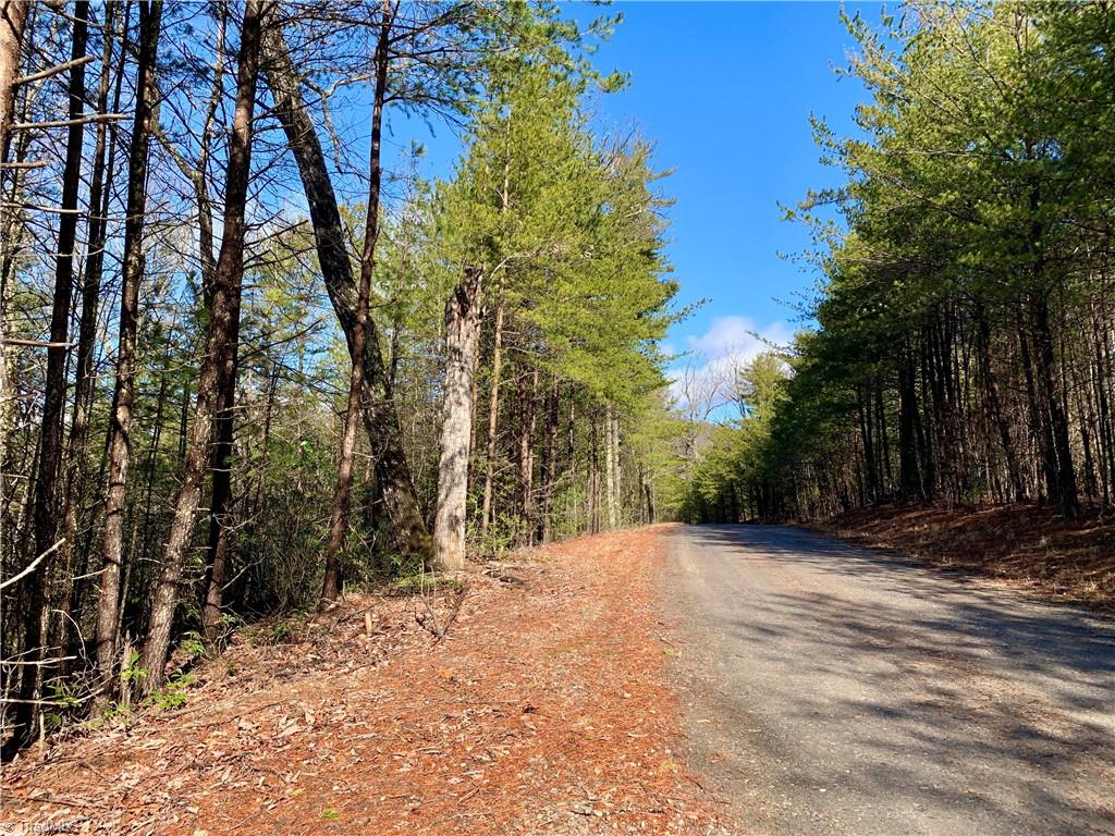 Lot 89 Woodpecker Road Purlear, NC 28665 - Photo 8 of 9 Gallery Image 8
