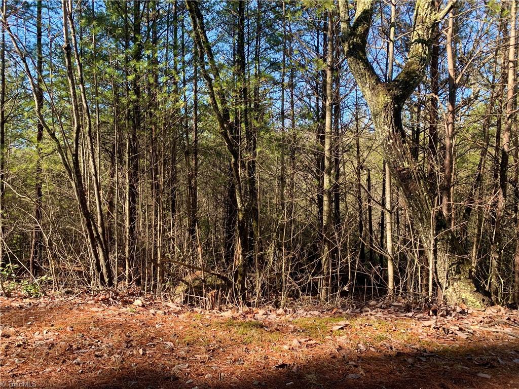 Lot 89 Woodpecker Road Purlear, NC 28665 - Photo 9 of 9 Gallery Image 9