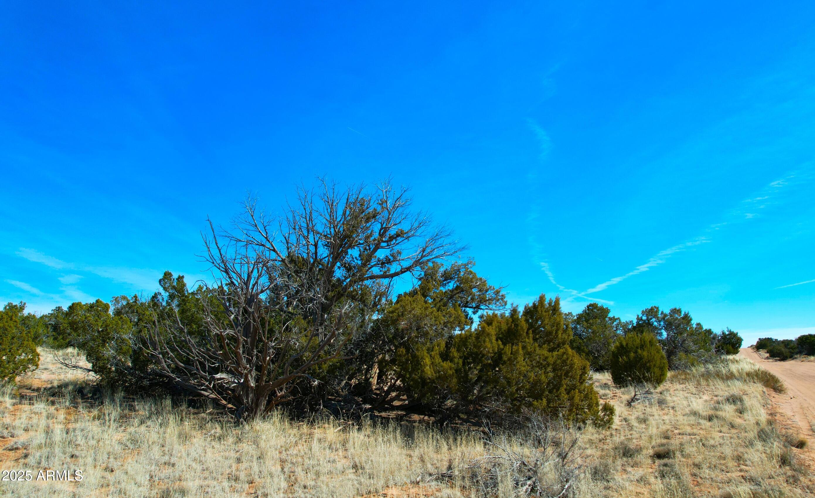 84 County Road St. Johns, AZ 85936 - Photo 8 of 11