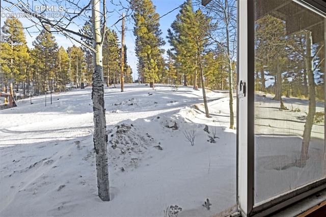 371 Rangeview Road Divide, CO 80814 - Photo 10 of 34 Front Entry