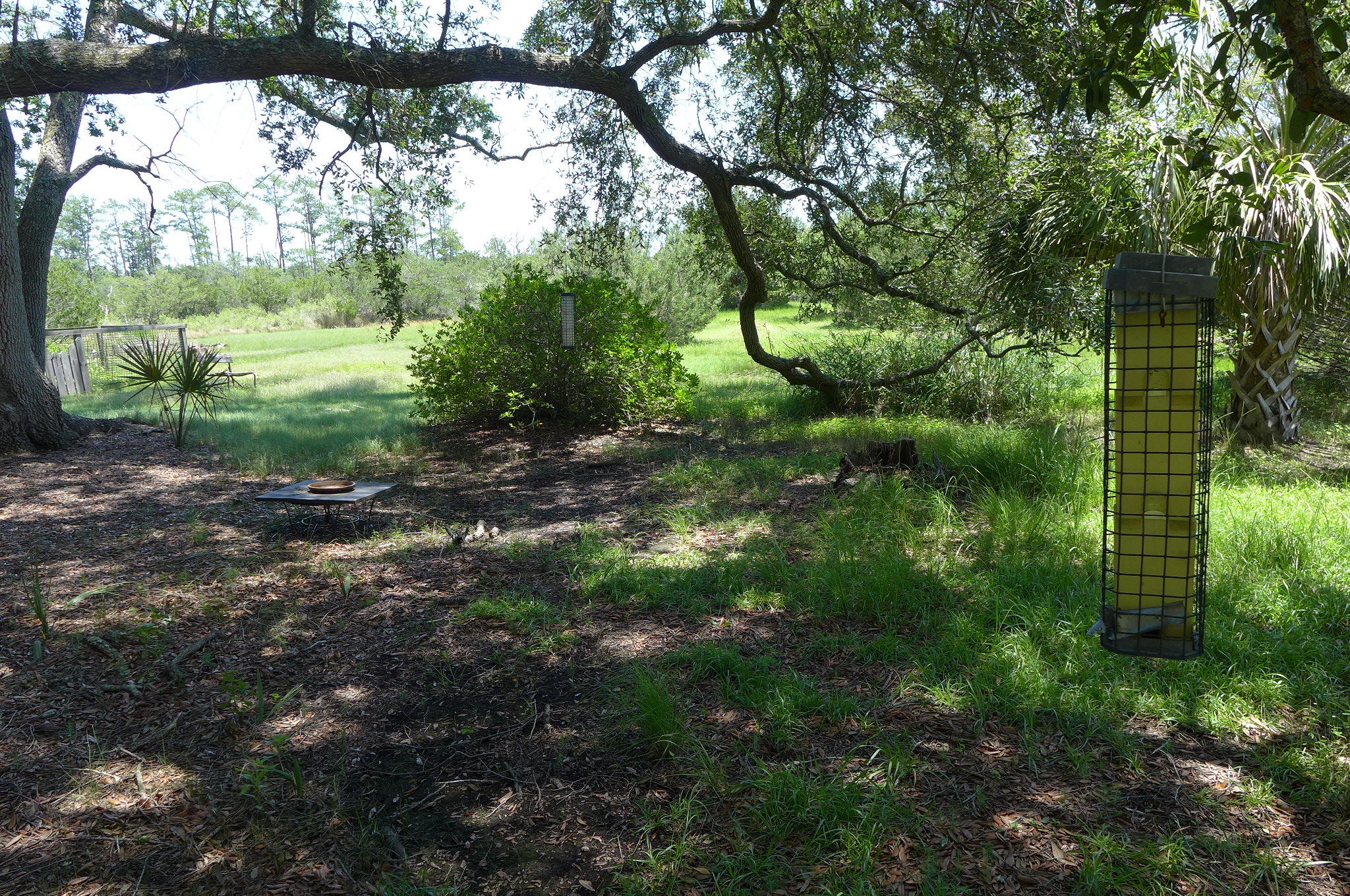 0 Peters Point Road, Unit LOT A Edisto Island, SC 29438 - Photo 14 of 27 P1060643