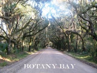0 Peters Point Road, Unit LOT A Edisto Island, SC 29438 - Photo 22 of 27 Botany Bay Rd