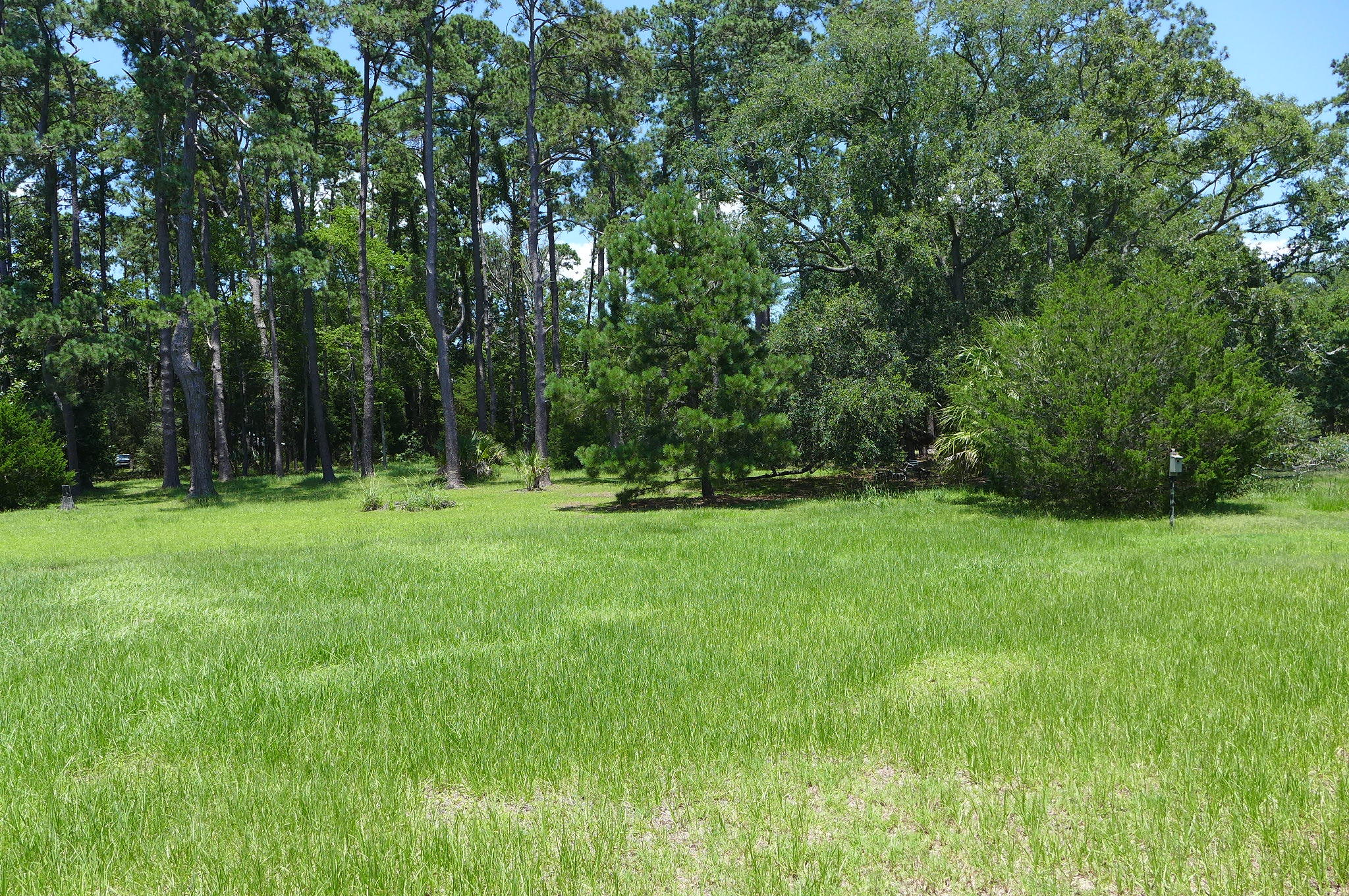 0 Peters Point Road, Unit LOT A Edisto Island, SC 29438 - Photo 8 of 27 P1060631
