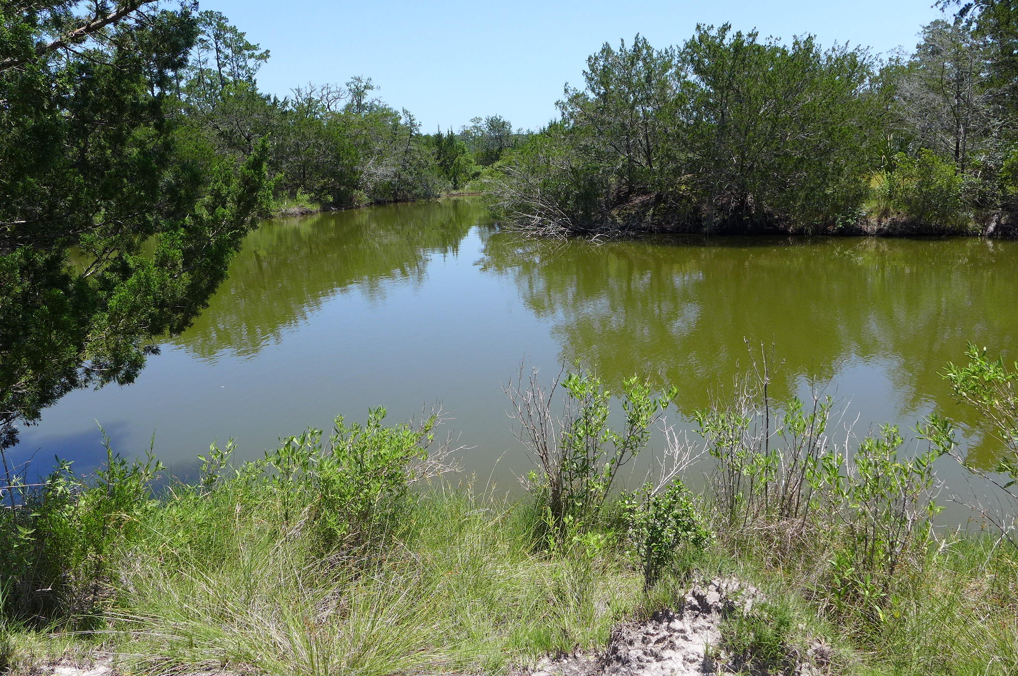 0 Peters Point Road, Unit LOT A Edisto Island, SC 29438 - Photo 10 of 27 P1060635